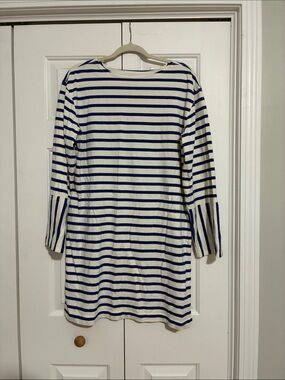 Everlane Blue and White Striped Dress